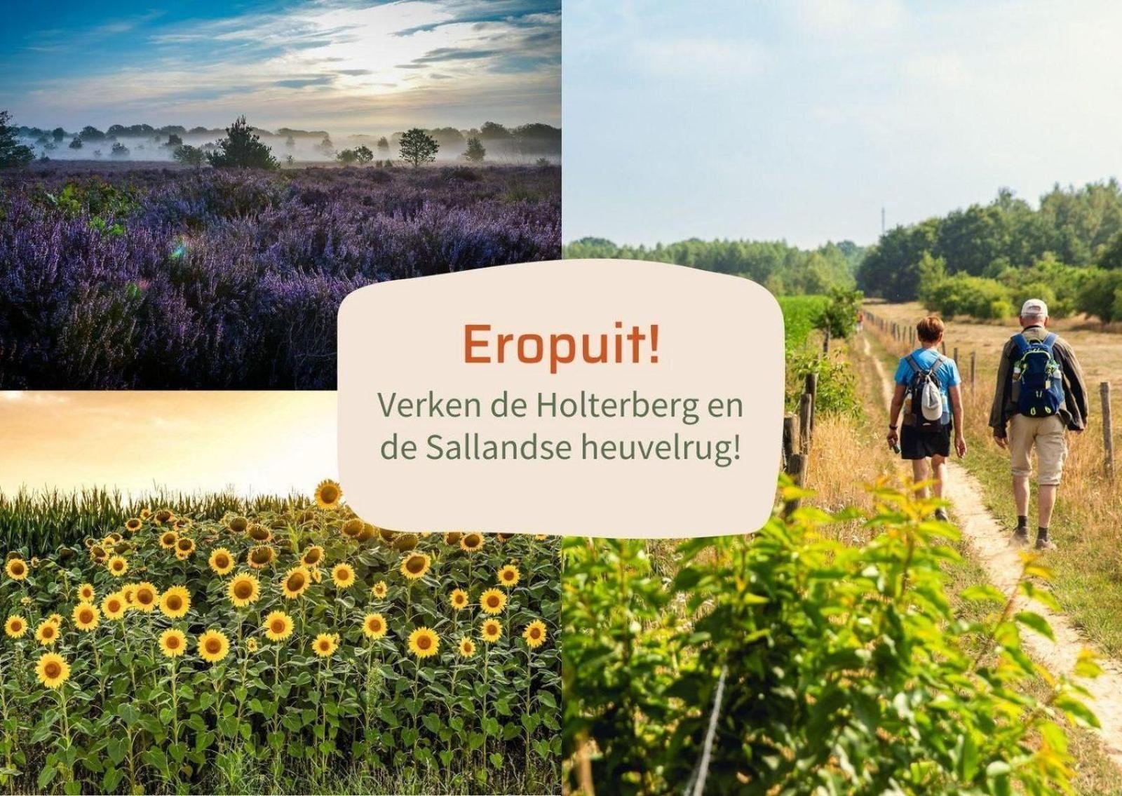 Vakantiepark Hoelte Rijssen Dış mekan fotoğraf